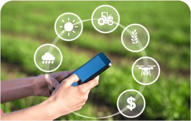 Person using smartphone with agricultural icons overlay.