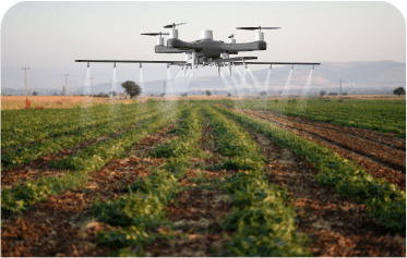Drone spraying crops in a field.