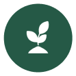 Precision Planting