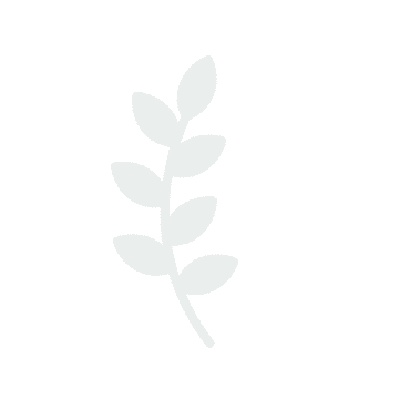 Black silhouetted leaf on dark background.