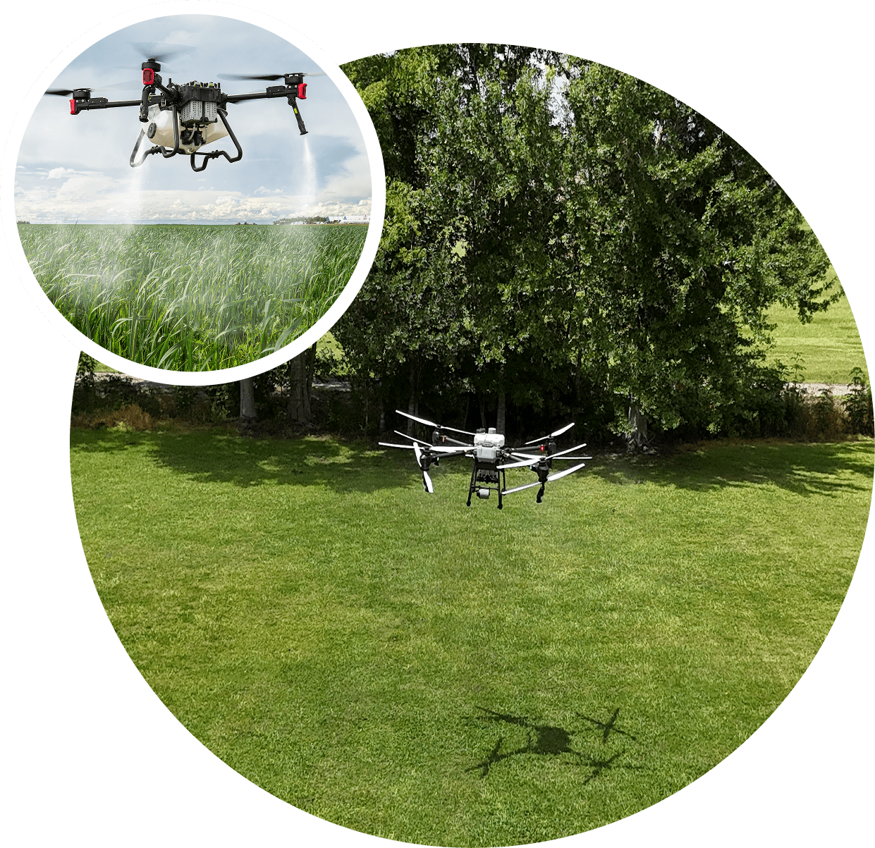 5 (2) A drone flying over a grassy park area with trees in the background.