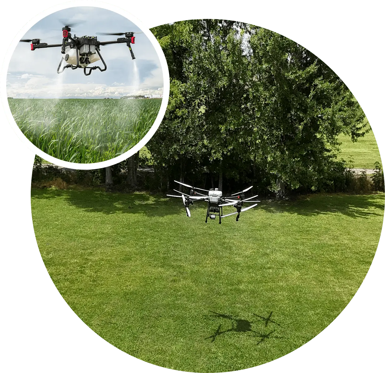 A drone flying over a grassy park area with trees in the background.